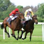 STATISTIQUES COURSES PMU